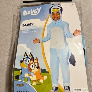 Bluey costume